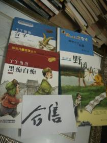丁丁当当黑痴白痴-美绘版