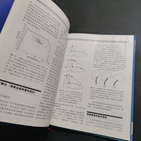 腰痛的生物力学