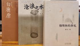 白鹿原、穆斯林的葬礼、沧浪之水，风格迥异的情调轮流上演。