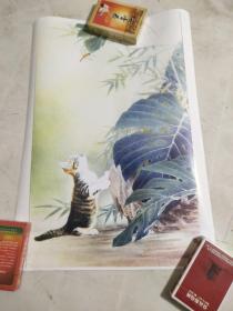 高清工笔国画荷花 玉兰 喜鹊 猫 等