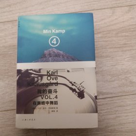 我的奋斗4：在黑暗中舞蹈