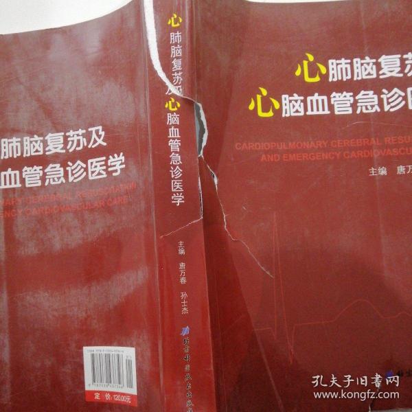 心肺脑复苏及心脑血管急诊：从基础科学到临床实践