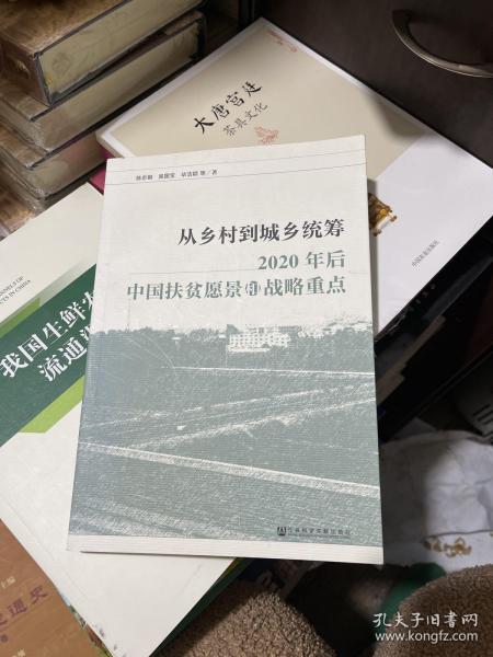 从乡村到城乡统筹：2020年后中国扶贫愿景和战略重点