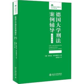 德国大学刑法案例辅导（进阶卷·第二版）