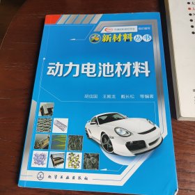 新材料丛书：动力电池材料