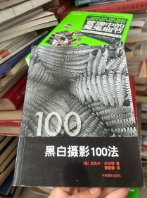 黑白摄影100法