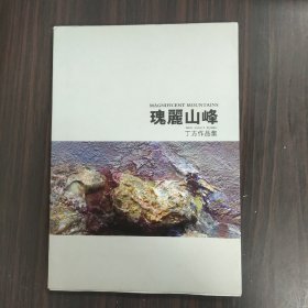 瑰丽山峰   丁方作品集