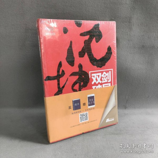 双剑破局：沈坤营销策划案例集