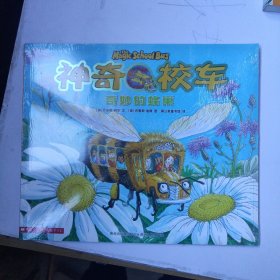 神奇校车 奇妙的蜂巢