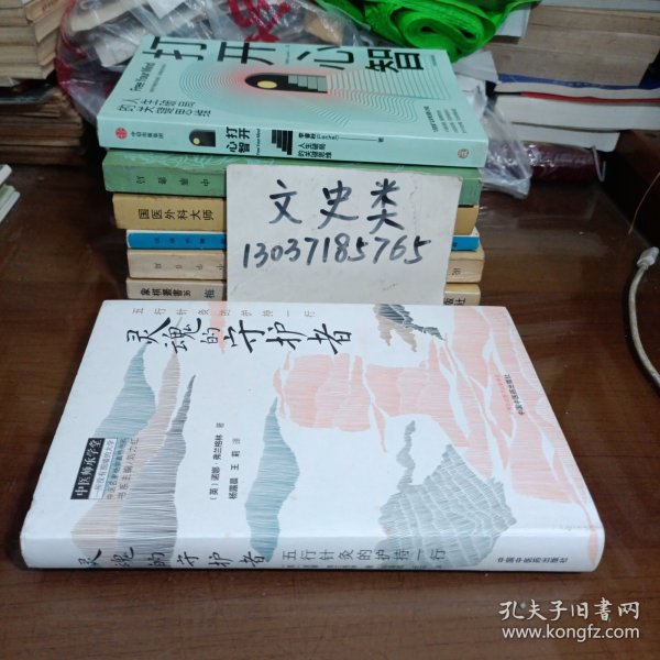 灵魂的守护者 : 五行针灸的护持一行