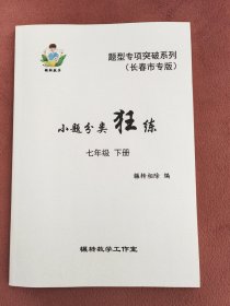 长春专版数学小题分类狂练七年级下册（HS）