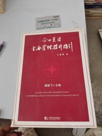 企业集团全面管理提升指引