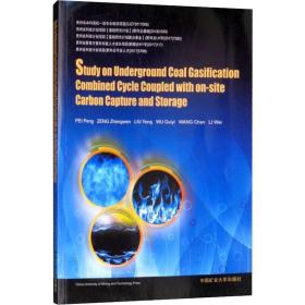 地下煤气化联合循环及地二氧化碳捕集封存技术研究 大中专公共基础科学 裴鹏 等 新华正版