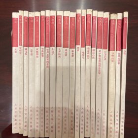 九元丛书20种20册 杂色叔叔的故事动物凶猛行为艺术关于詹牧师的报告文学捕捉心跳绝望中诞生一地鸡毛青衣美食家绿化树北方的河北极光世界上所有的夜晚古典爱情离婚指南三生石棉花垛爸爸爸人生 人民文学