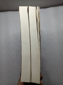 中医证候学（中下册）