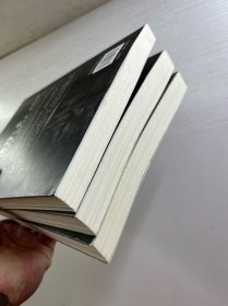大昆仑 新疆秘符（全3册）正版如图、内页干净
