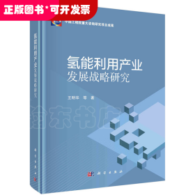 氢能利用产业发展战略研究