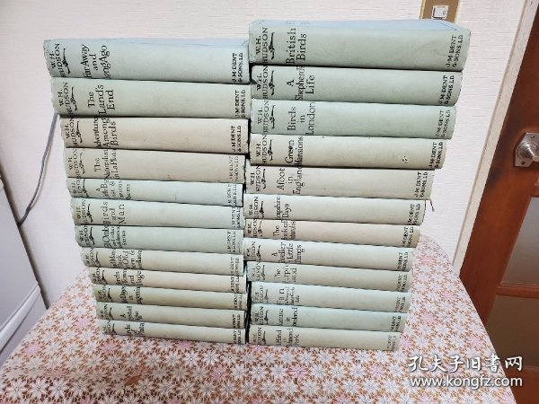 The collected works of W.H. Hudson 24册全 包邮（日本发货）