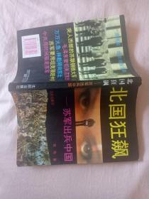 北国狂飙:苏军出兵中国
