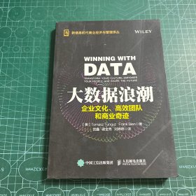 大数据浪潮：企业文化、高效团队和商业奇迹