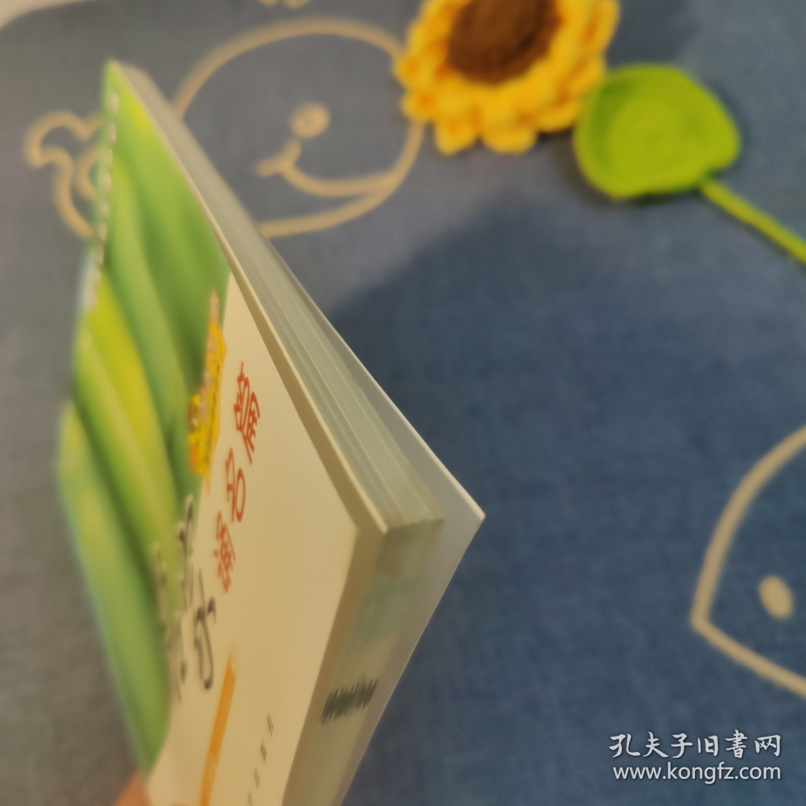 名家颂名篇,小学卷小学六年级