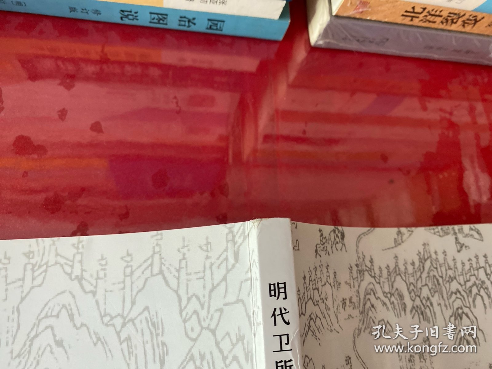 明代卫所与“民化”：法律·区域（2019年1版1印，书脊上下端有损，请仔细看图）