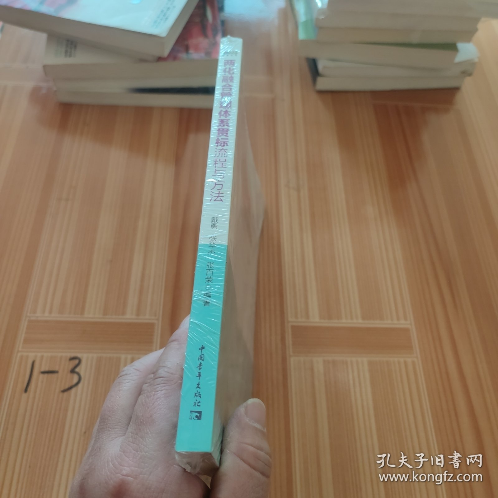 两化融合管理体系贯标流程与方法（快速掌握两化融合操作方法）