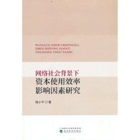 正版书网络社会背景下资本使用效率影响因素研究