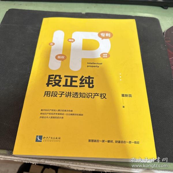 IP段正纯——用段子讲透知识产权