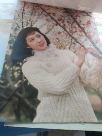 怀旧1988大幅美女明星挂历（恭贺新禧）白灵，龚雪，詹萍萍，张乐，朱碧云，张琪，傅艺伟，柳荻，王薇，曲燕，张文娟，方舒（全13张）