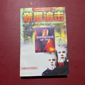 全美畅销小说：燃眉追击