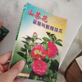 山茶花盆栽與繁育技術(shù)