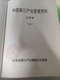 中国第三产业普查资料 山东卷 <全上.下册>