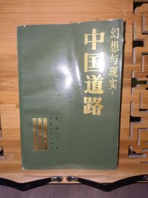 幻想与现实：中国道路
