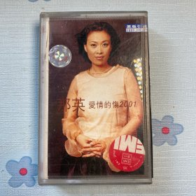 那英—爱情的伤2001