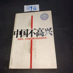 中国不高兴：大时代大目标及我们的内忧外患