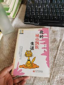 我的城市飘族生涯