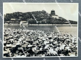 抗战时期 北京颐和园万寿山的清晏舫、画中游、长廊、佛香阁等景点名胜及昆明湖上的荷花之风景 原版老照片一张（尺寸∶11*15cm）