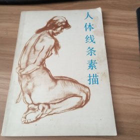 人体线条素描