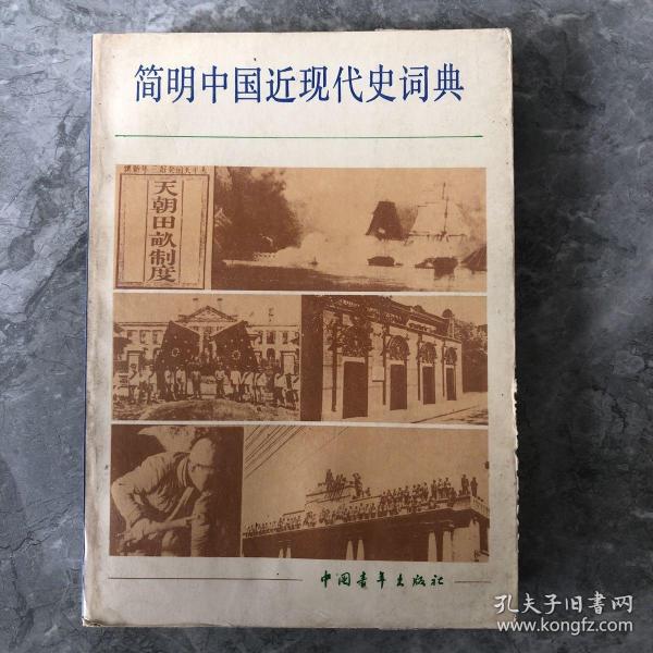 简明中国近现代史词典（上册）