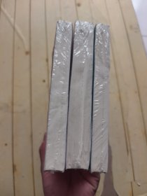 象棋特级大师讲布局：骗着与对策、定式与战理、疑形与攻击 (共3本合售)