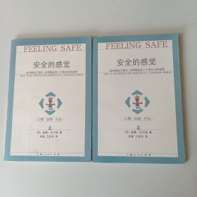 安全的感觉：如何使自己强壮，以积极应对一个变化中的世界