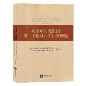 北京市村党组织第一书记驻村工作案例选