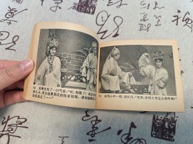 凤落梧桐