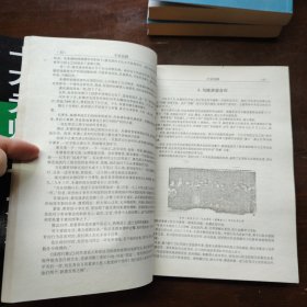 十大元师十大将军