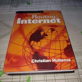 Routing in  the Internet