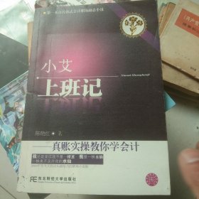 小艾上班记：真帐实操教你学会计