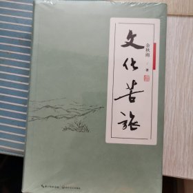 文化苦旅（软精装）