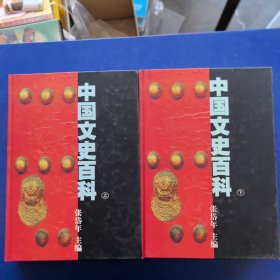 中国文史百科（上下）两册全，张岱年主编，浙江人民出版社1998年一版一印。（全新未阅）