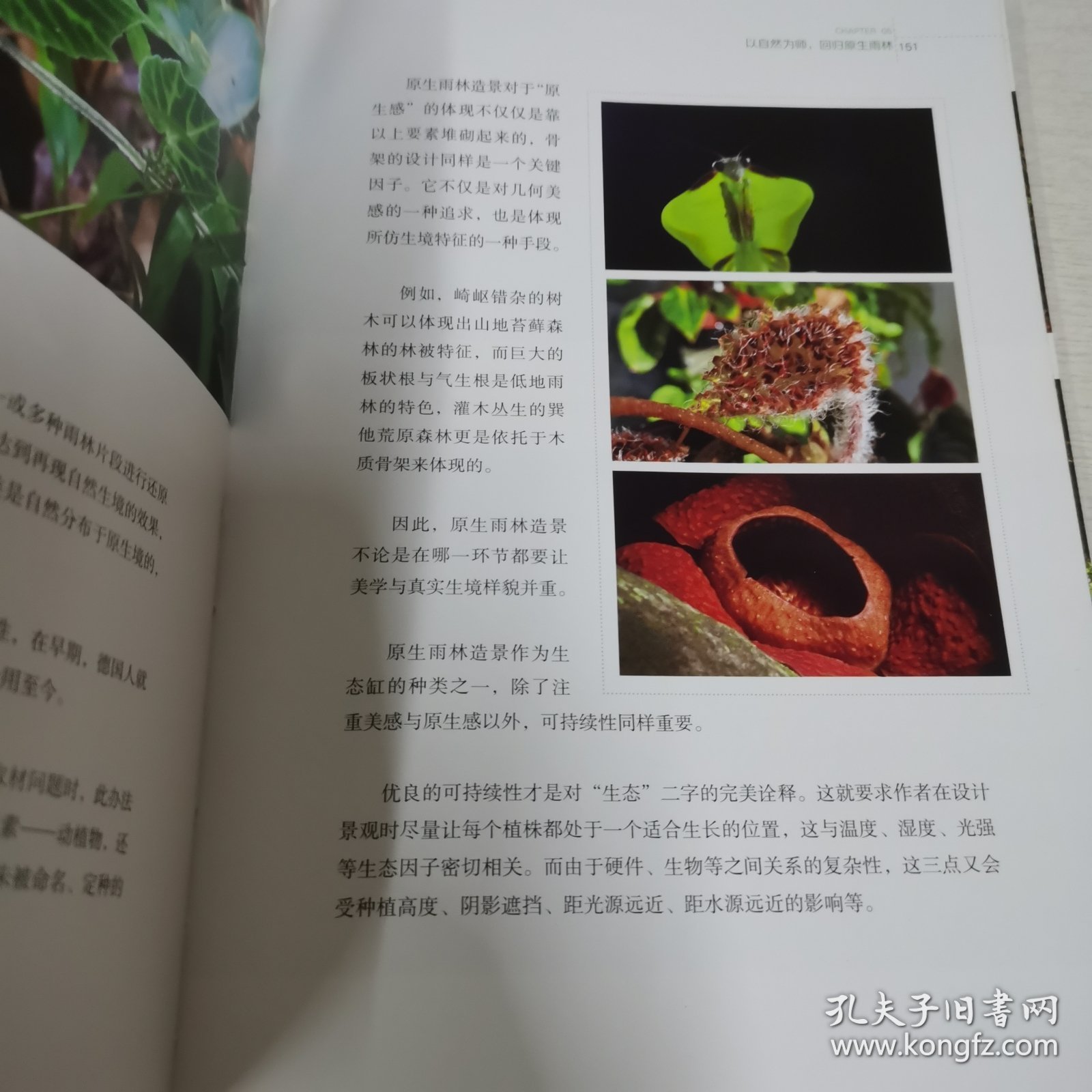 方寸之间，雨林世界：我的第一本雨林缸造景书